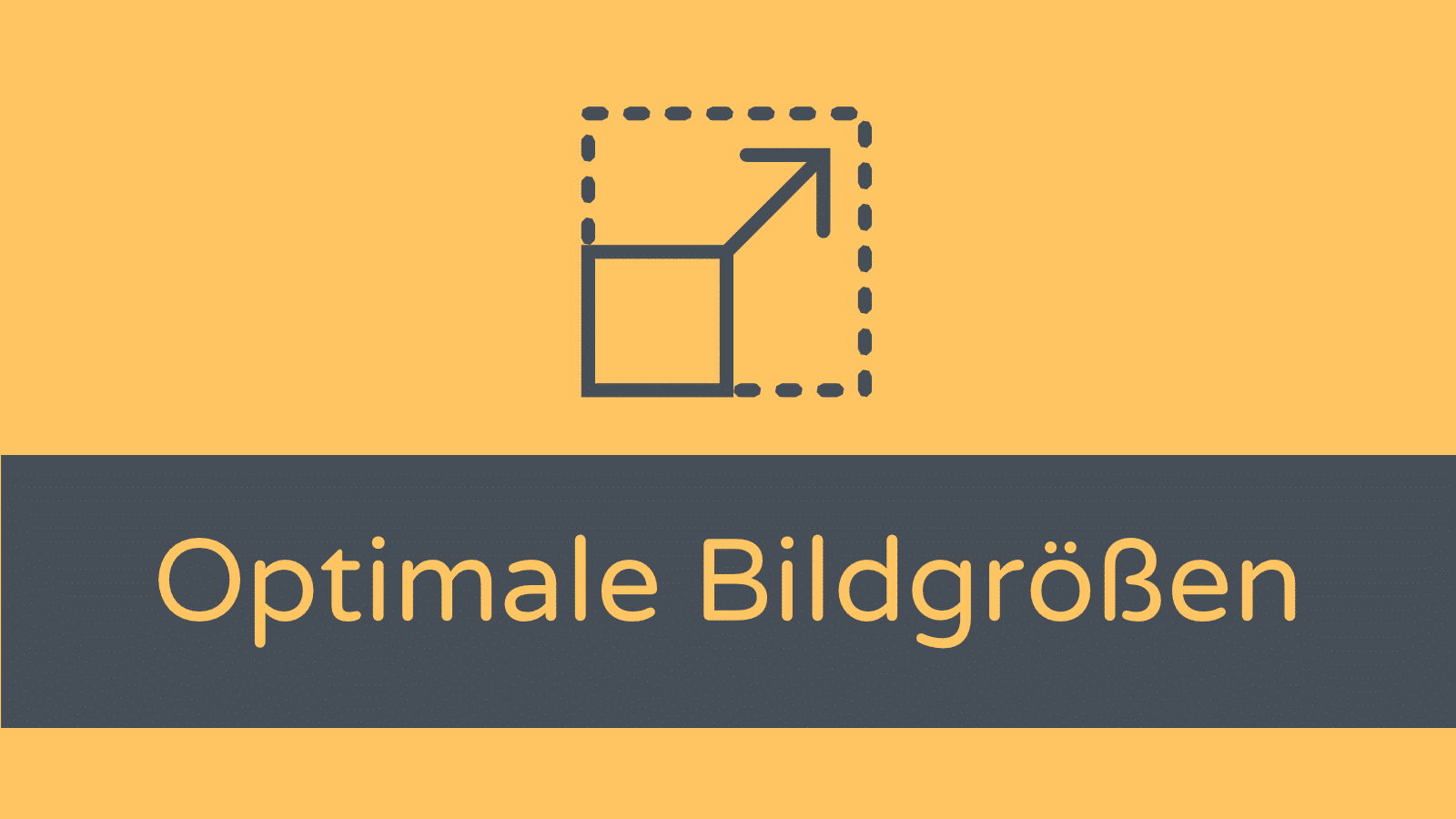 Divi Theme: Optimale Bildgrössen