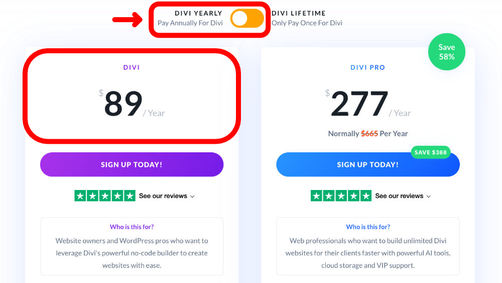 Divi Theme Yearly
