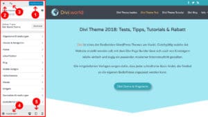 Divi Theme Grundeinstellungen: Designmodifikator (Customizer) Teil 1