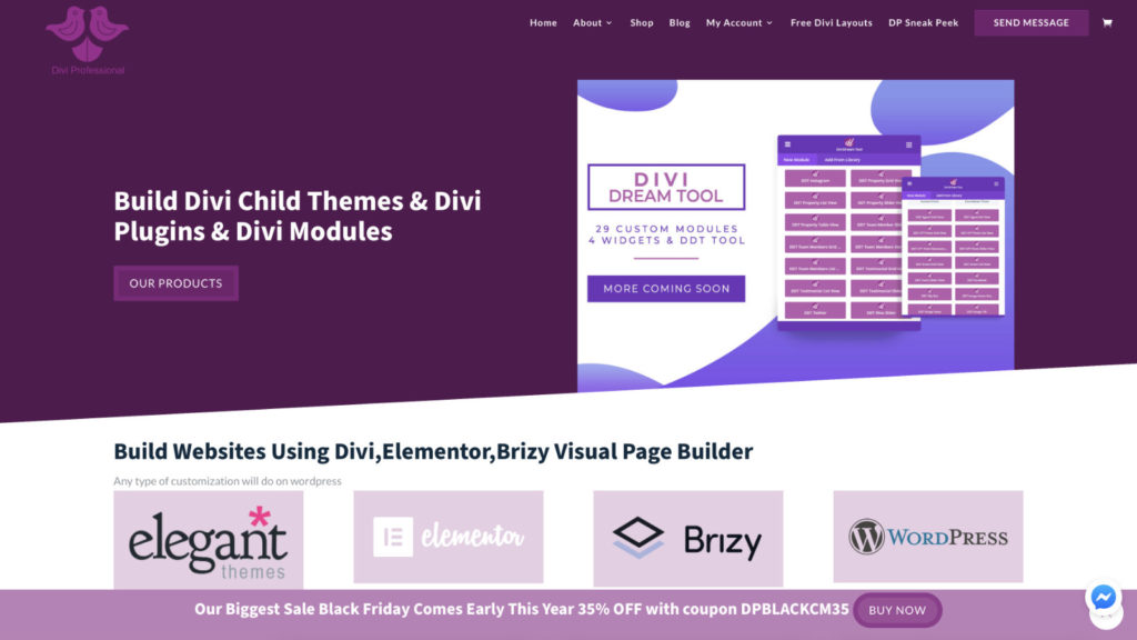 Divi Professional Black Friday Deal